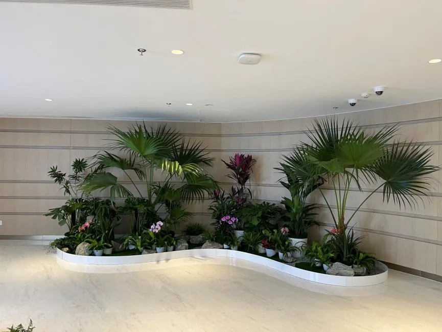 宁波慈溪花木租赁,以实惠价格打造绿色天地!><div class=